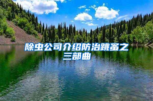 除蟲公司介紹防治跳蚤之三部曲