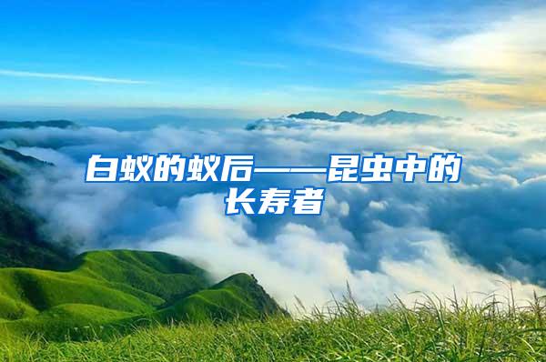 白蟻的蟻后——昆蟲中的長壽者
