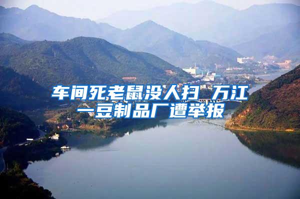 車間死老鼠沒人掃 萬江一豆制品廠遭舉報(bào)