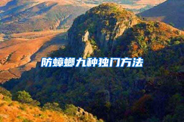 防蟑螂九種獨門方法