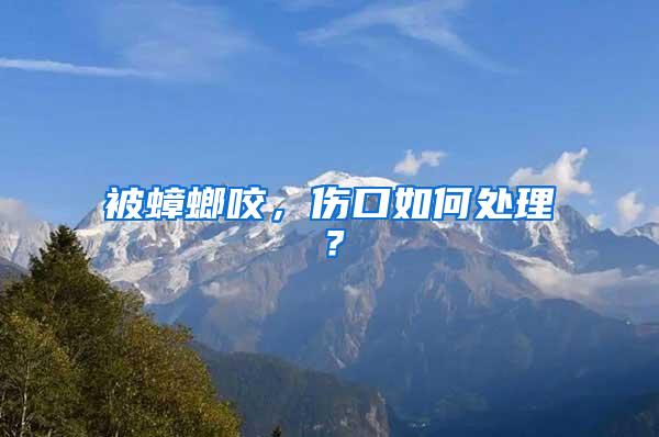 被蟑螂咬，傷口如何處理？