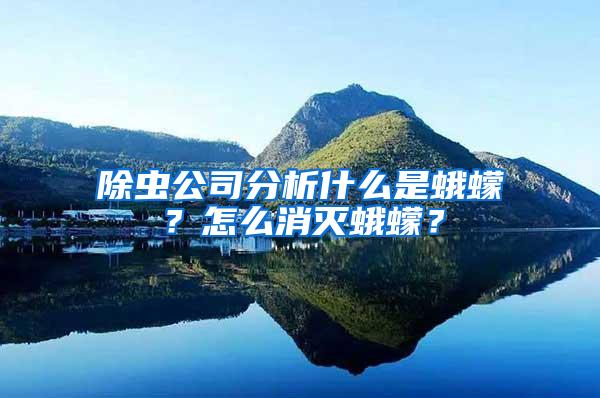 除蟲公司分析什么是蛾蠓？怎么消滅蛾蠓？