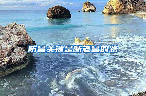 防鼠關鍵是斷老鼠的路