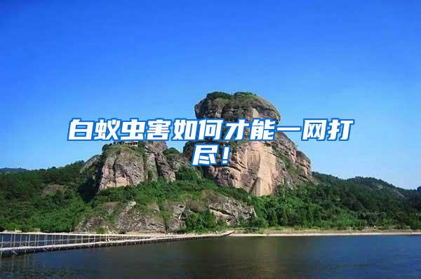 白蟻蟲(chóng)害如何才能一網(wǎng)打盡！