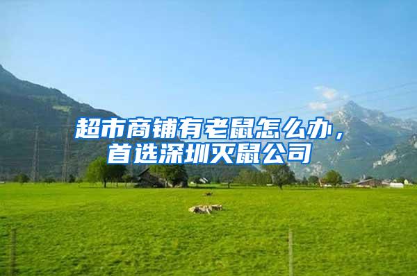 超市商鋪有老鼠怎么辦，首選深圳滅鼠公司