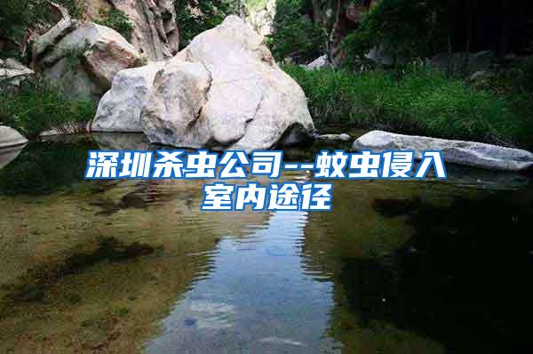 深圳殺蟲公司--蚊蟲侵入室內(nèi)途徑