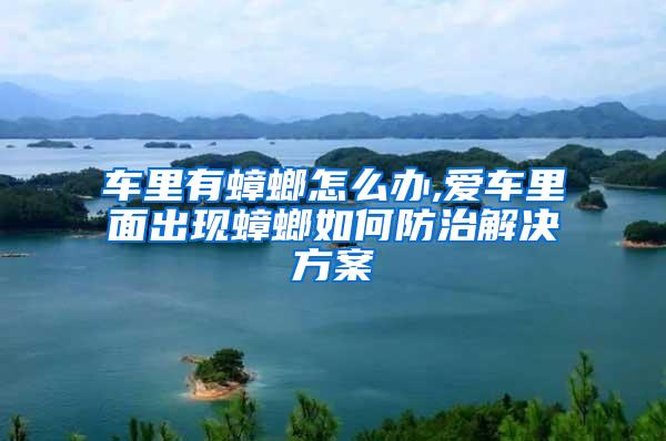 車里有蟑螂怎么辦,愛車里面出現蟑螂如何防治解決方案