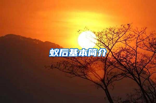 蟻后基本簡介