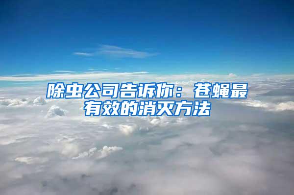 除蟲公司告訴你：蒼蠅最有效的消滅方法