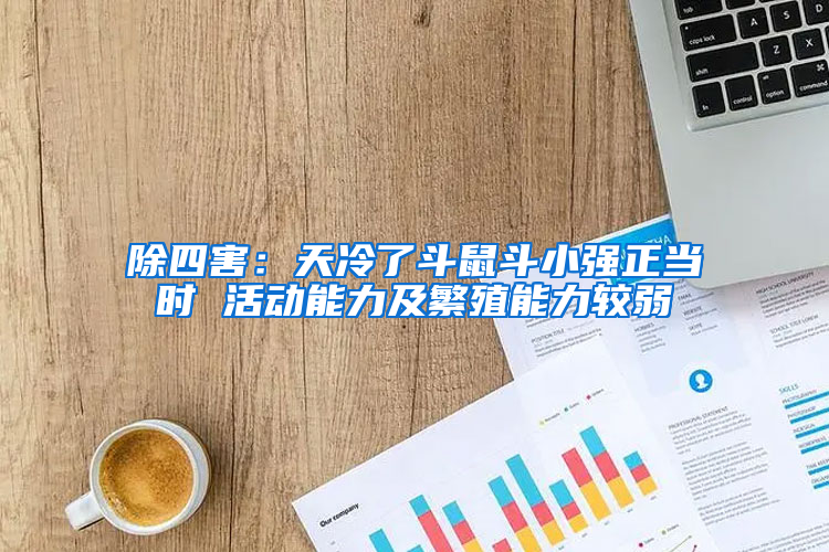 除四害：天冷了斗鼠斗小強正當時 活動能力及繁殖能力較弱