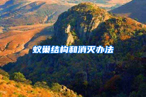 蟻巢結(jié)構(gòu)和消滅辦法