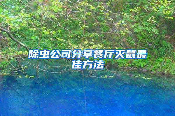 除蟲公司分享餐廳滅鼠最佳方法