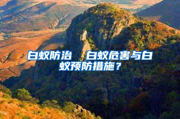 白蟻防治  白蟻危害與白蟻預(yù)防措施？