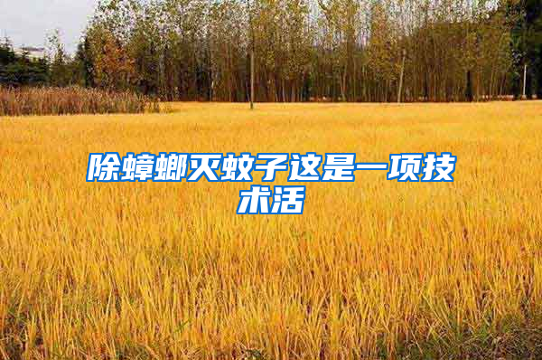 除蟑螂滅蚊子這是一項(xiàng)技術(shù)活