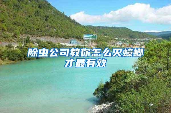 除蟲公司教你怎么滅蟑螂才最有效
