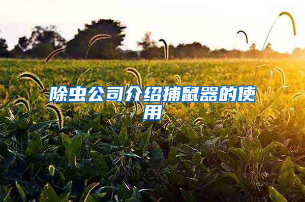 除蟲公司介紹捕鼠器的使用