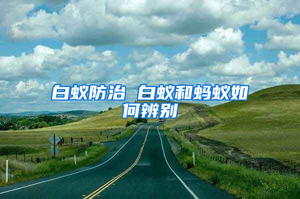 白蟻防治 白蟻和螞蟻如何辨別