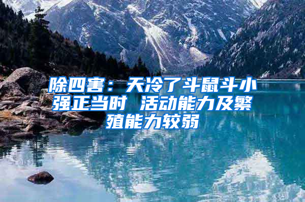 除四害：天冷了斗鼠斗小強正當時 活動能力及繁殖能力較弱