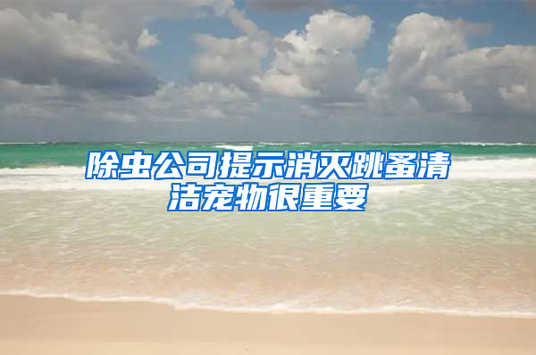 除蟲公司提示消滅跳蚤清潔寵物很重要