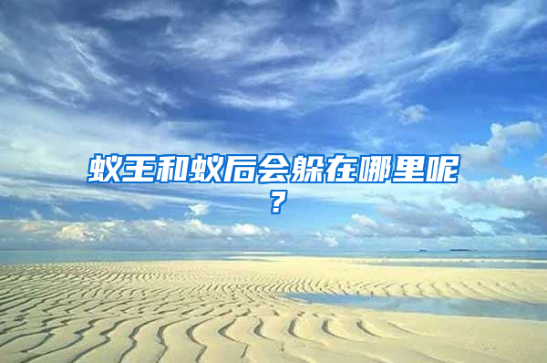 蟻王和蟻后會(huì)躲在哪里呢？