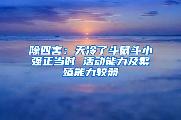 除四害：天冷了斗鼠斗小強(qiáng)正當(dāng)時(shí) 活動(dòng)能力及繁殖能力較弱