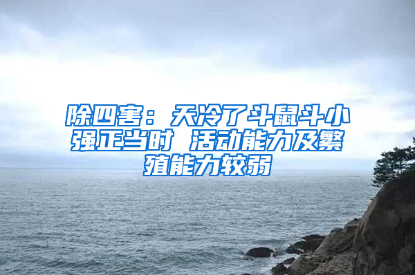 除四害：天冷了斗鼠斗小強(qiáng)正當(dāng)時(shí) 活動(dòng)能力及繁殖能力較弱