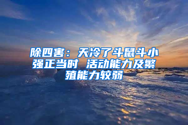 除四害：天冷了斗鼠斗小強正當時 活動能力及繁殖能力較弱