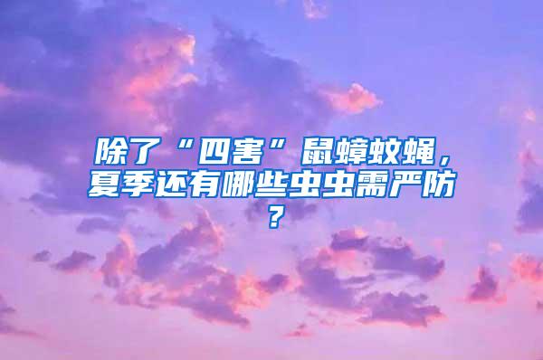 除了“四害”鼠蟑蚊蠅，夏季還有哪些蟲蟲需嚴防？