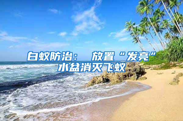 白蟻防治： 放置“發亮”水盆消滅飛蟻