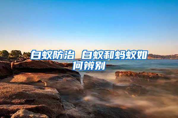白蟻防治 白蟻和螞蟻如何辨別
