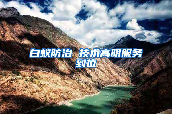 白蟻防治 技術(shù)高明服務(wù)到位