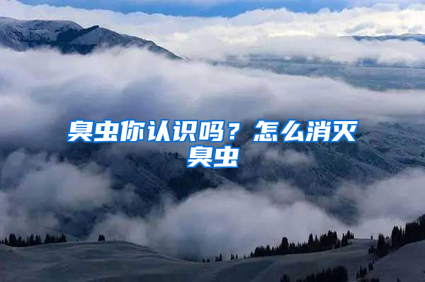 臭蟲你認識嗎？怎么消滅臭蟲