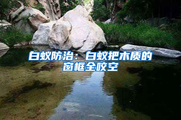 白蟻防治：白蟻把木質的窗框全咬空