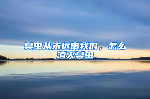 臭蟲從未遠離我們，怎么消滅臭蟲