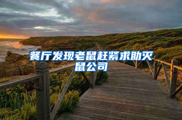 餐廳發(fā)現(xiàn)老鼠趕緊求助滅鼠公司