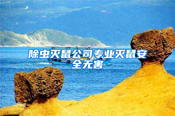 除蟲(chóng)滅鼠公司專業(yè)滅鼠安全無(wú)害