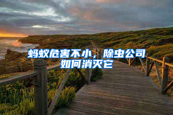 螞蟻危害不小，除蟲公司如何消滅它