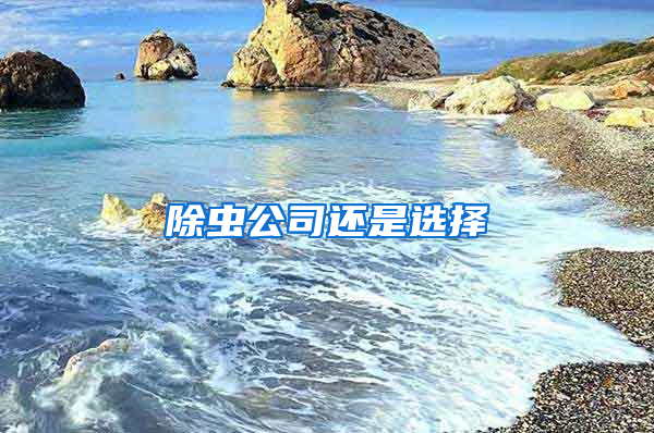 除蟲(chóng)公司還是選擇