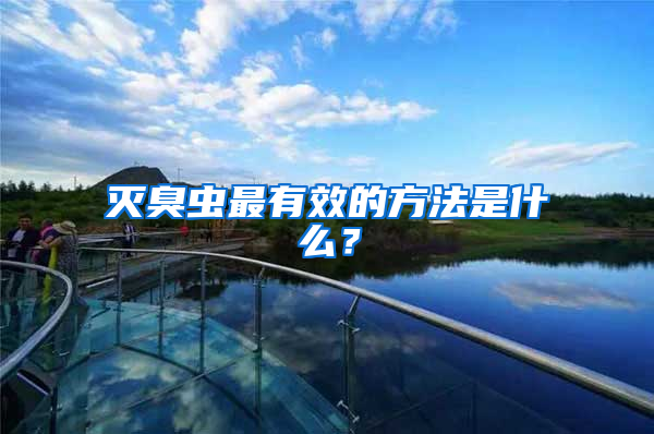 滅臭蟲最有效的方法是什么？
