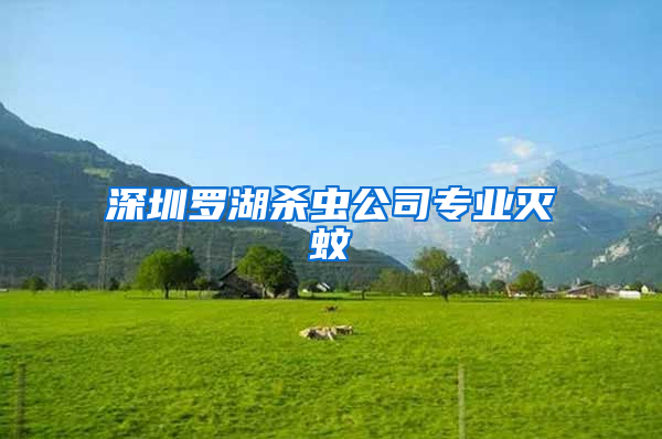 深圳羅湖殺蟲公司專業滅蚊