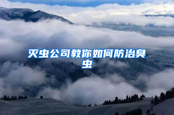 滅蟲公司教你如何防治臭蟲