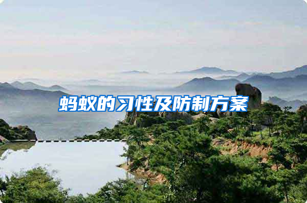 螞蟻的習性及防制方案