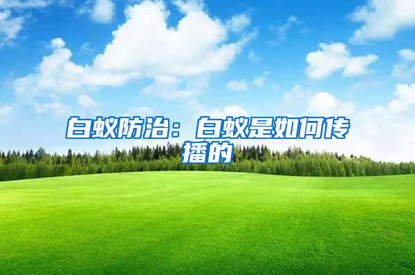 白蟻防治：白蟻是如何傳播的