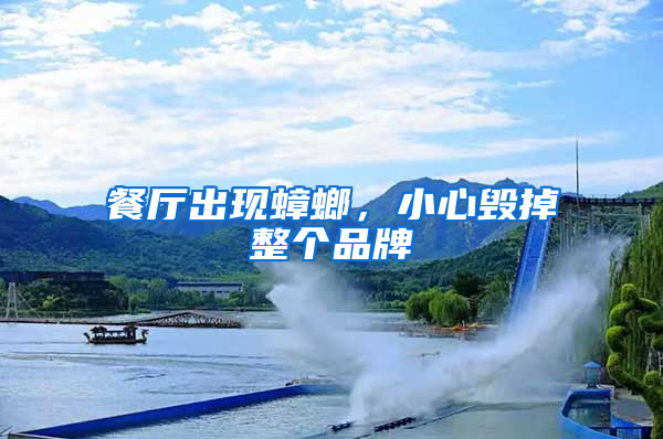 餐廳出現蟑螂，小心毀掉整個品牌