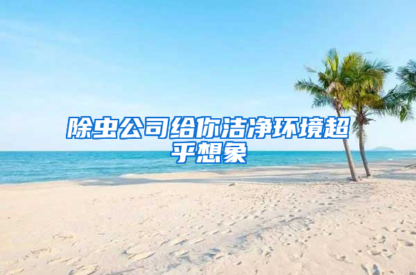 除蟲公司給你潔凈環境超乎想象