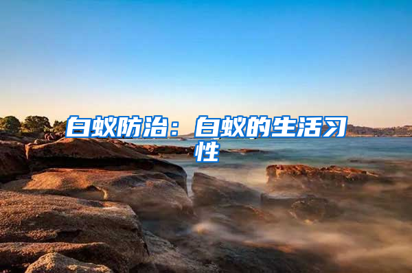 白蟻防治：白蟻的生活習(xí)性