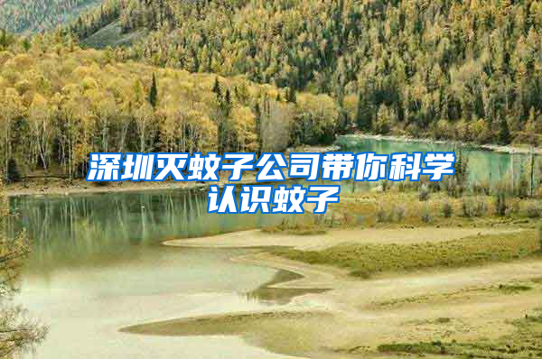 深圳滅蚊子公司帶你科學(xué)認(rèn)識(shí)蚊子