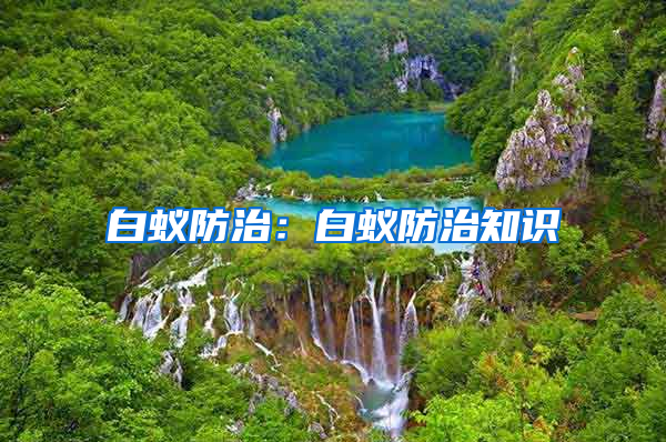 白蟻防治：白蟻防治知識(shí)