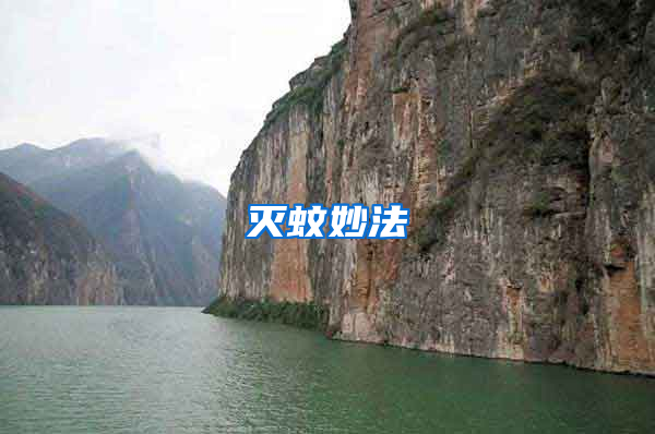 滅蚊妙法