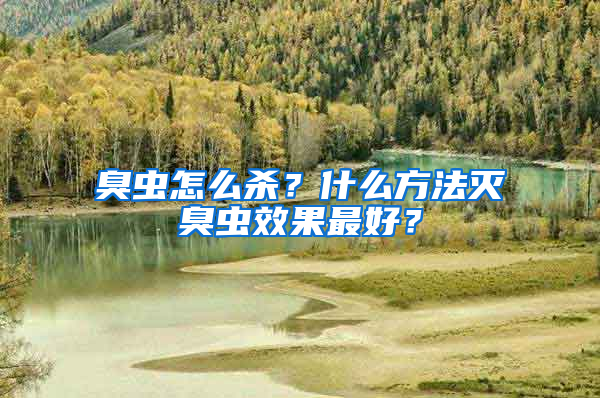 臭蟲怎么殺？什么方法滅臭蟲效果最好？